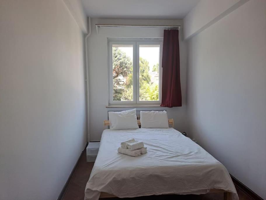 Spacious Apartment Next To Parc Du Cinquantenaire ブリュッセル エクステリア 写真